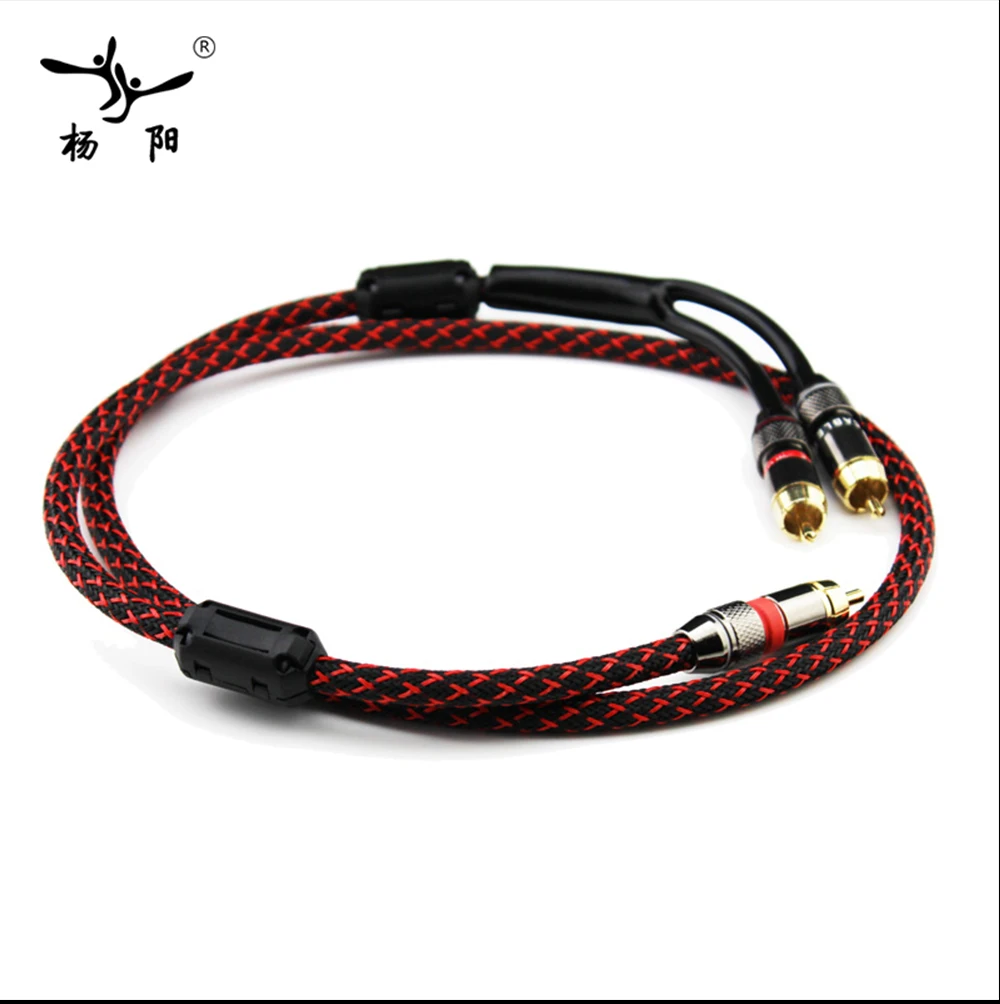 RCA2RCA_05