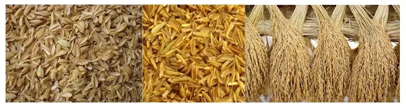 rice_husk