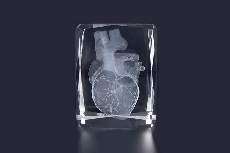 3D стереоскопический кристалл внутренняя резьба сердце человека анатомия модель 50*50*80 мм