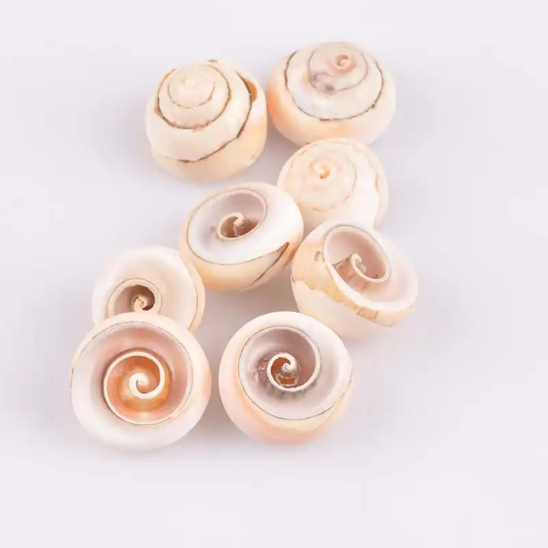 Uber 20mm 10 Stucke Naturliche Spirale Muscheln Fur Scrapbooking