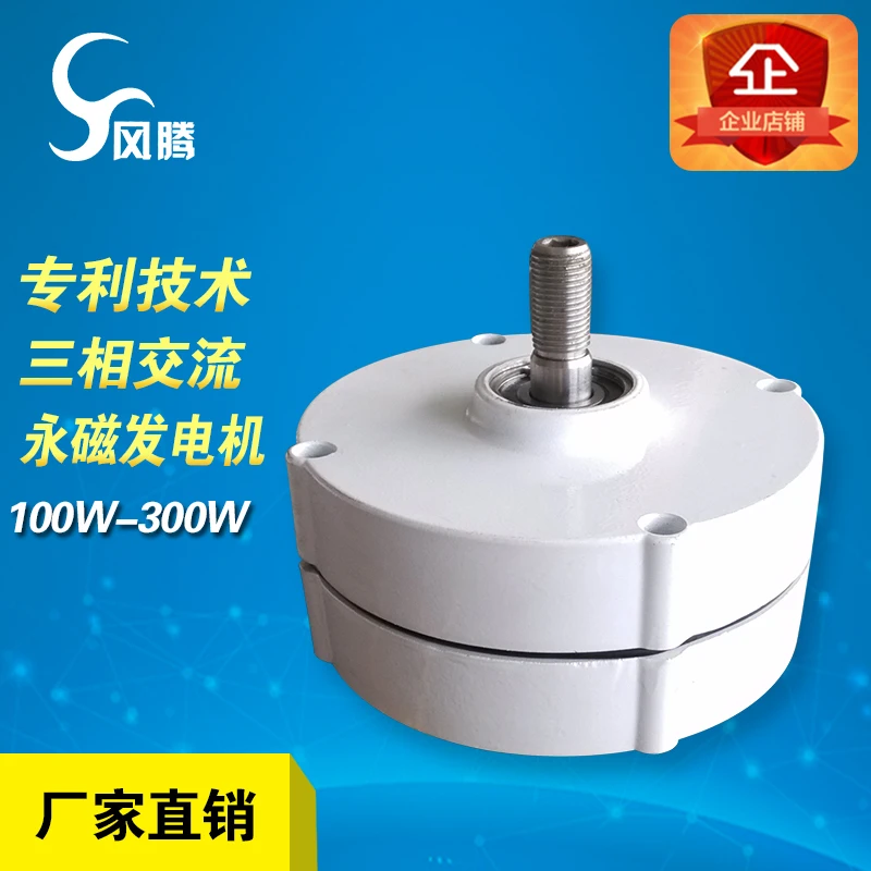 

High Efficiency 100W 200W 12W 12V 24V Wind Turbine with Magnet Rare Earth Permanent Magnet Generator