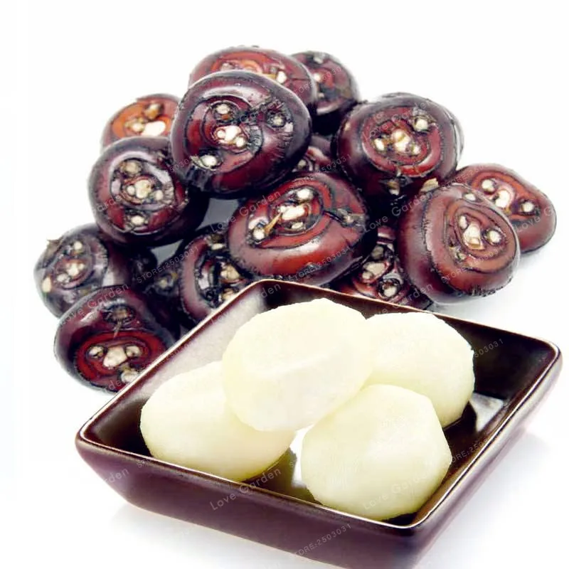 

100 Pcs Chinese Water Chestnut Bonsai Perennial Herbaceous Aquatic Plants Nutrition And Delicious Fruit Vegetables Bonsai