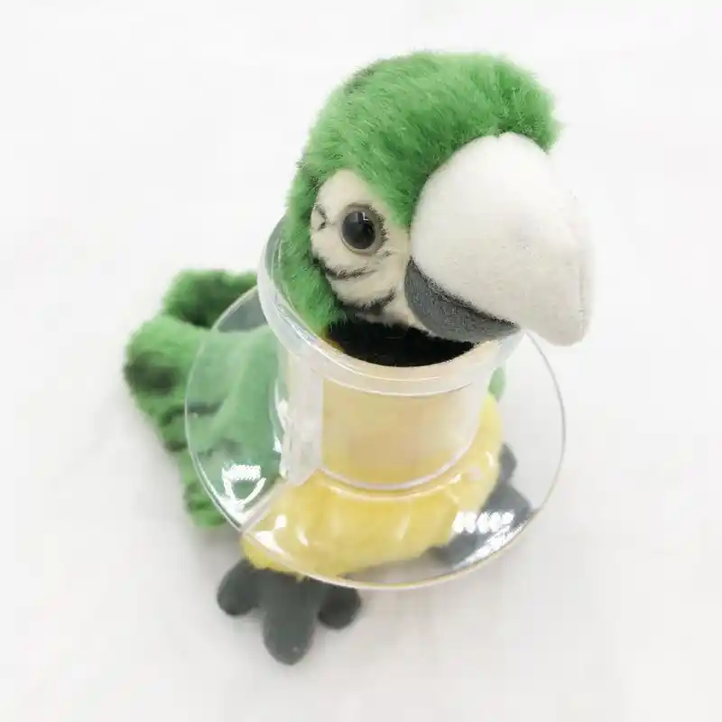 quaker parrot plush