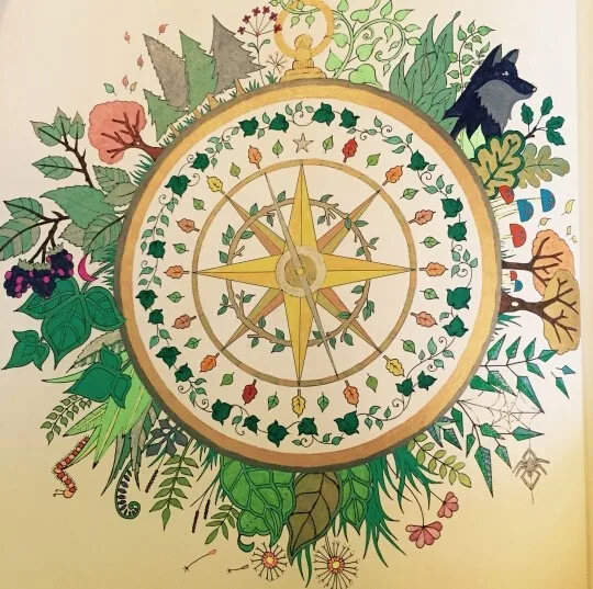 2015 Full Set Of Kids Secret Garden Fantasy Dream Enchanted Forest Art Coloring Book Children Adult Relieve Stress Painting In Books From Office