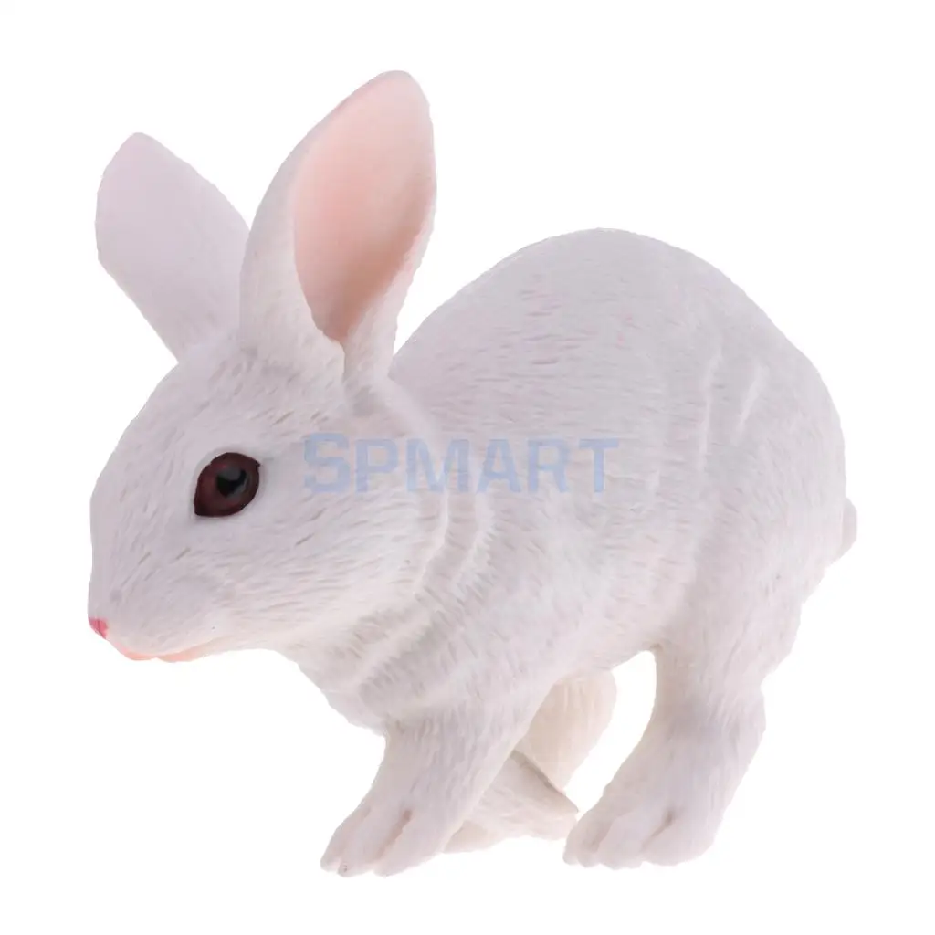 Simulation Wildlife Farm Pet Animal Model Action Figures Figurine Kid Educational Science Nature Toy Home Collectible Decoration
