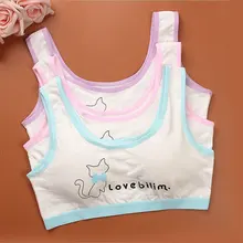 Бесшовный спортивный бюстгальтер для девушек и женщин, Быстросохнущий Спортивный бюстгальтер для фитнеса, Беспроводной топ для йоги, спортивный бюстгальтер, бюстгальтер для занятий йогой и йогой, пуш-ап