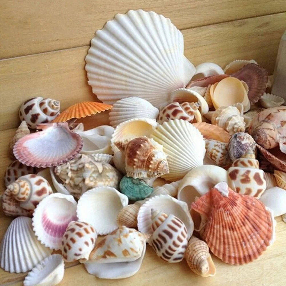100 г Аквариум Пляж морской DIY смешанные морские раковины для аквариума коробки и
