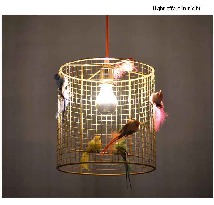 Kiwi Parrot Birdcage Modern Rural pendant light lamp bar13