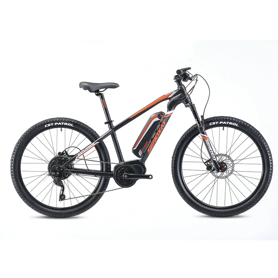 Perfect 2019 E-BIKE Explorers 10S Electric Bike With Computer Speedometer electric Odometer Powerful Electric MTB Bike 16AH 350W eBike 0