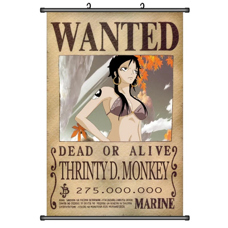 Japanese Anime Decorative Pictures One Piece Monkey D Luffy Nami Usopp Trafalgar Law Home Decor Wall Scroll Poster Painting Calligraphy Aliexpress