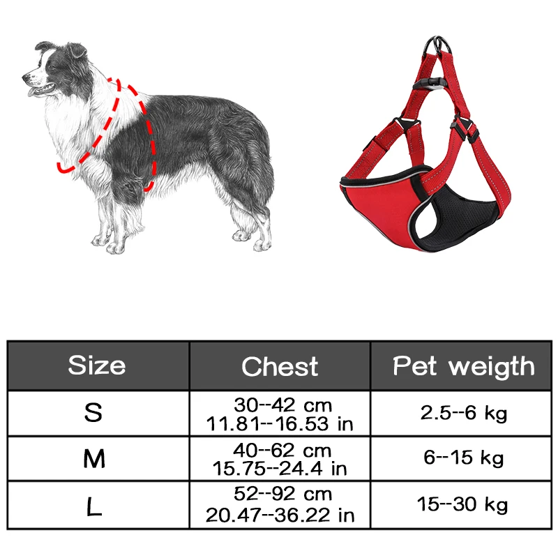 pequeno médio grande segurança do cão treinamento