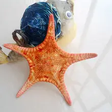 HappyKiss Deep sea small starfish красный сухой пять пальцев 6-10 см реквизит для фотосъемки украшение yangtz натуральная морская звезда