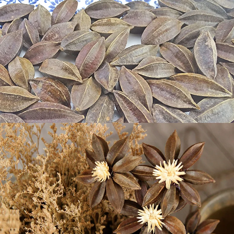 

Natural decorative dried flowers Quisqualis DIY Handmade for Home Decoration eco-friendly Accessories 5pcs/bag