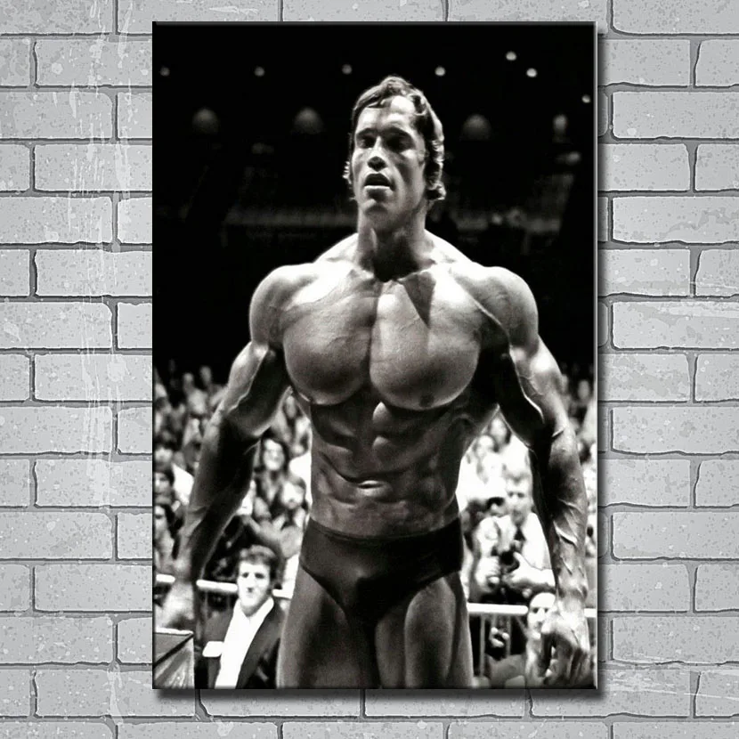 Arnold Schwarzenegger Motivation Gym Art Silk Poster 8x12inch