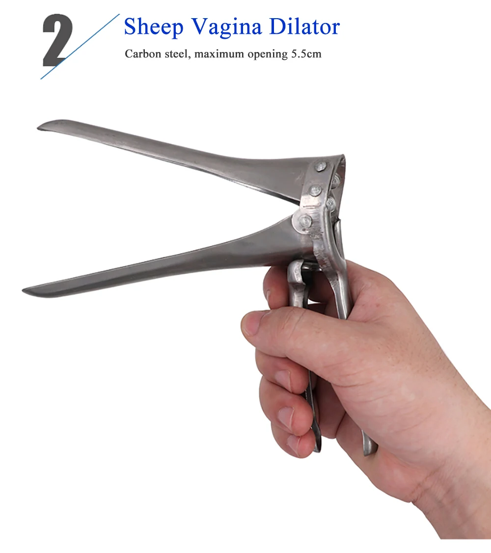 Vaginal speculum cattle sheep cow goat dilator artificial insemination