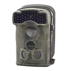 Wholesale Sports & Entertainment