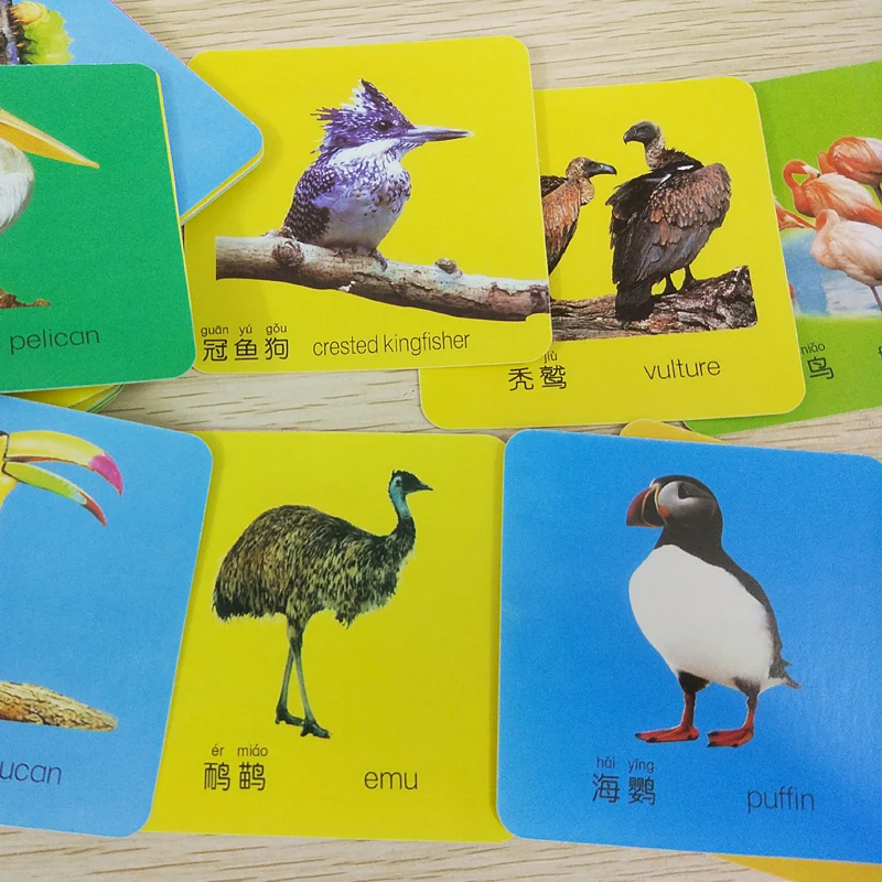 108 Word English & Chinese Pinyin Animal Cards with Picture For Kids Children Preschool education Mini Learning Books (2)