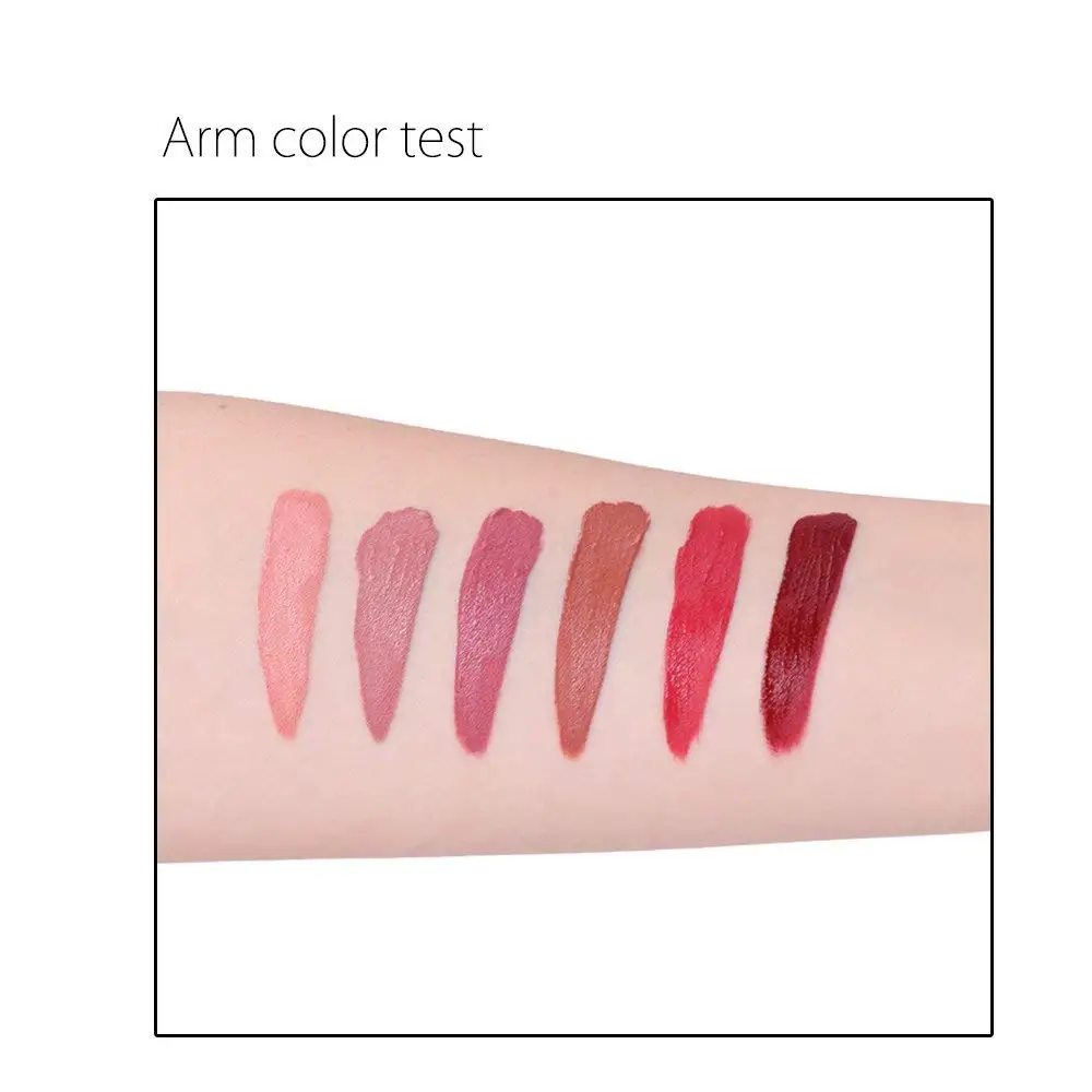 Liquid Matte Lipstick (4)