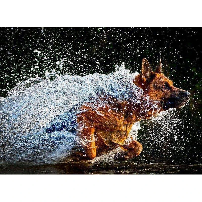 

Full Square/Round Drill 5D DIY Diamond Painting "Wolf dog" 3D Embroidery Cross Stitch Mosaic Rhinestone Home Decor Gift