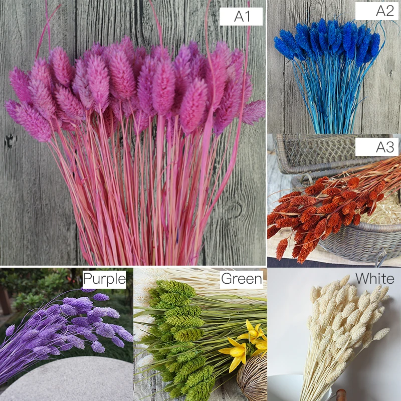 

1 Bunch(1 Bunch=20Pcs) Natural Simulation Plants Dried Flowers Bouquets For Home Decoration Living Room Wedding P20
