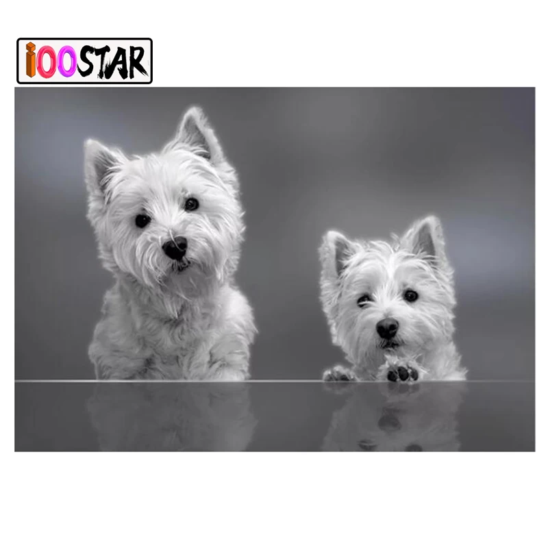 3D Rhinestone Painting DIY Diamond westie dog Pattern Cross Stitch Embroidery Mosaic Crystal Home Decor | Дом и сад