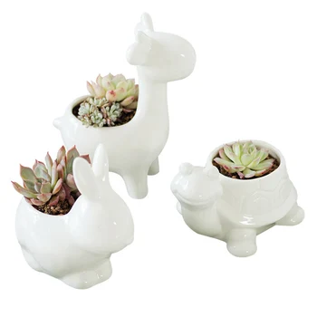 

Nordic animal multi-meat flowerpot ceramic desktop creative simple green plant multi-meat landscape plant ceramic small