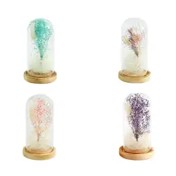 Высокое боросиликатное стекло фестиваль подарок романтическое моделирование Gypsophila стеклянная крышка Led микро пейзаж Прямая доставка