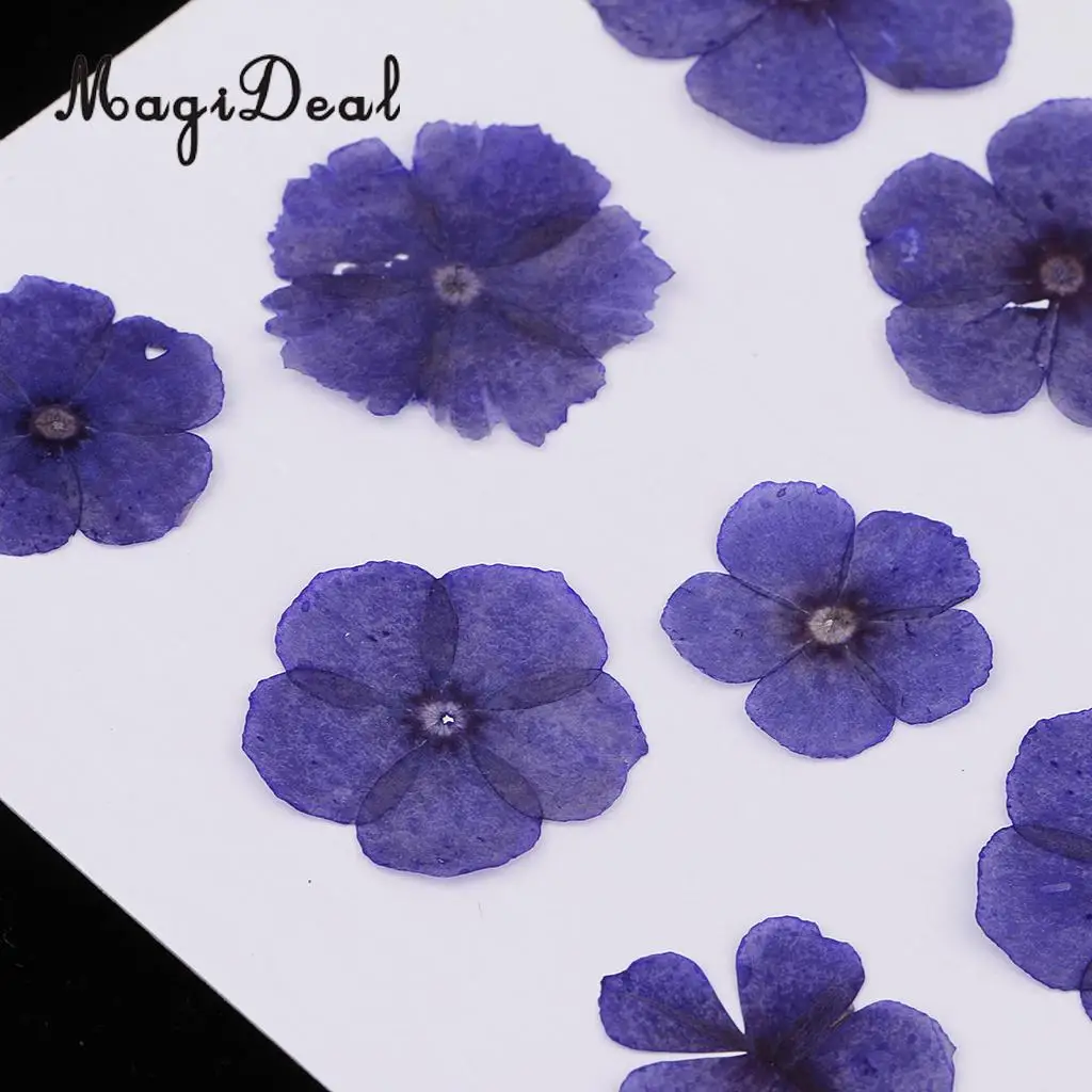 12 Pieces Natural Dried Flowers Real Flower Amaranthus for Kids Craft Card Making DIY Pendants Charms Jewelry