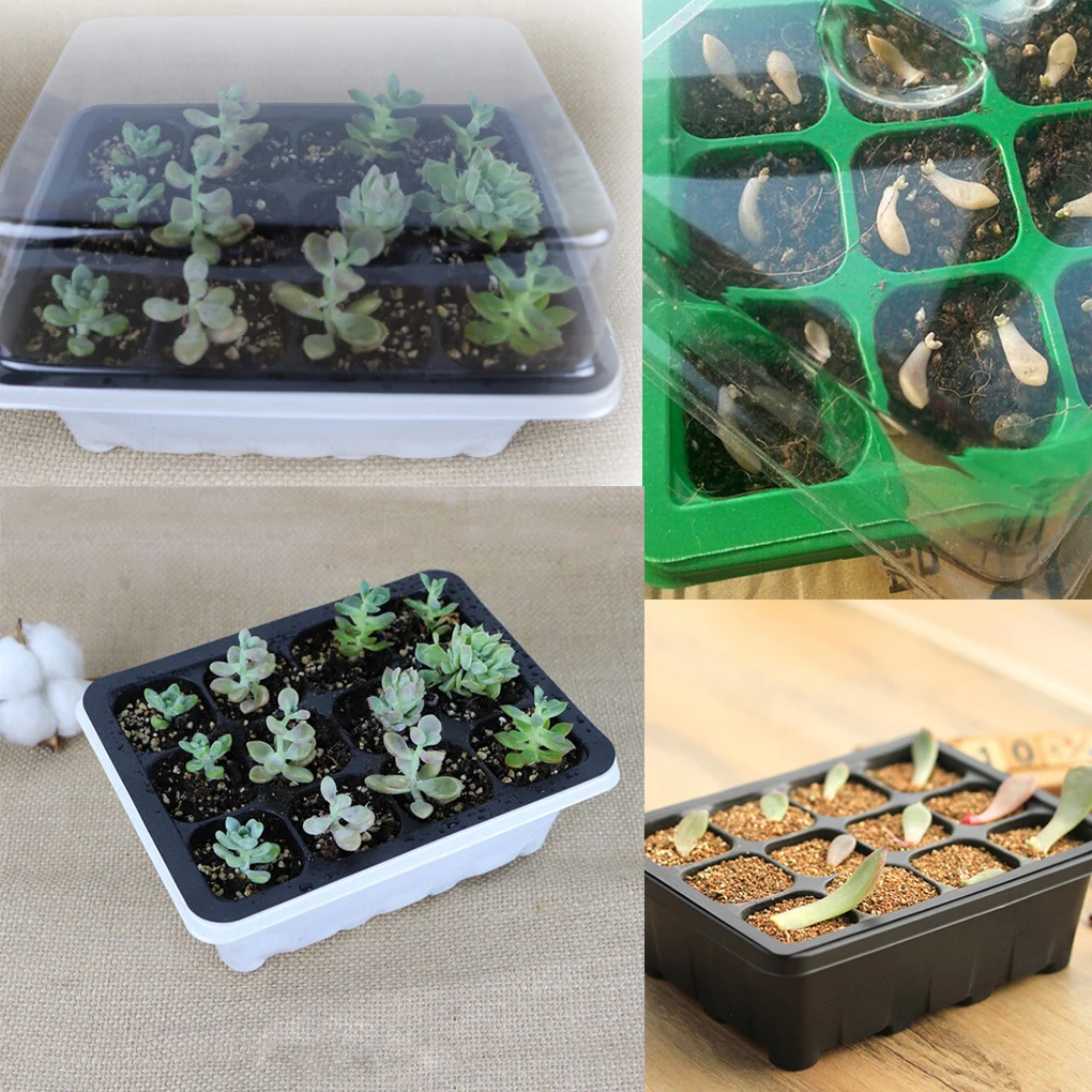 12 ячеек Seeding Box разведение трехсекционный набор размножение семян цветок