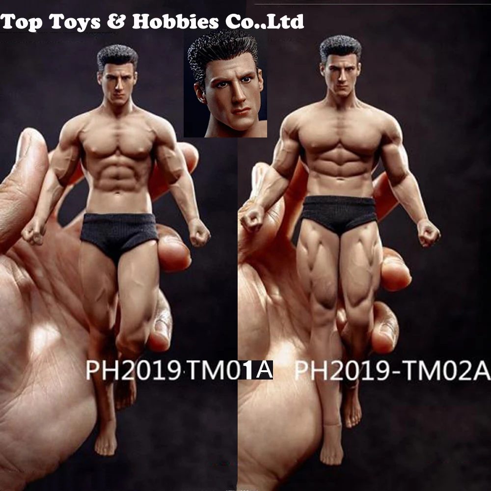 

Full set body with head pants PH2019-TM01A / PH2019-TM02A TBLeague 1/12th Scale Super Flexible Male Seamless Body toy collection