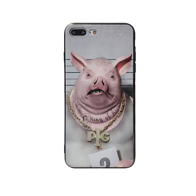 pig
