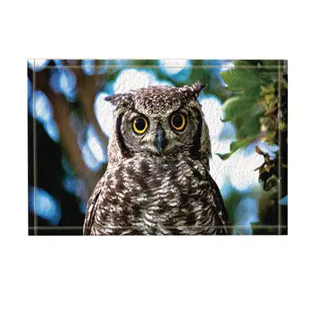 

Safari Decor, Wild Animal Owl Stands on Branches Against Green Leaf Bath Rugs, Non-Slip Funny Indoor Outdoor Doormat