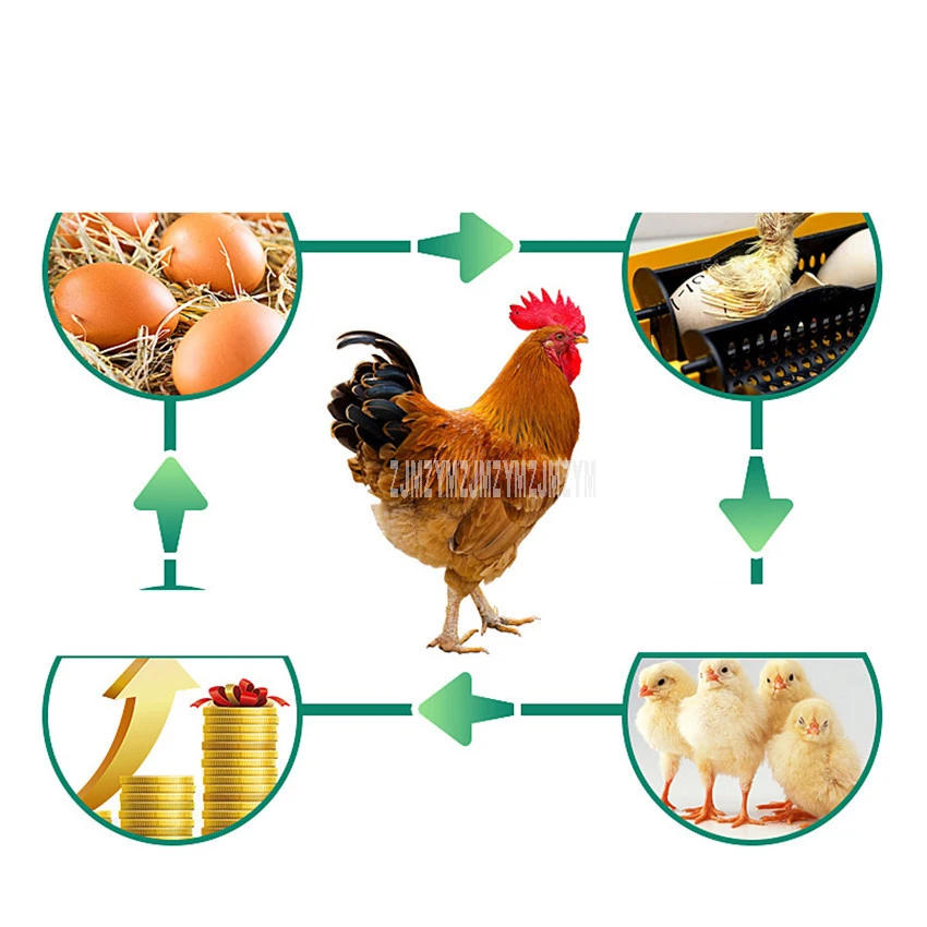 300 Вт автоматический 880 шт. емкость инкубатор для яиц инкубатор для курицы утка гусь птица яйца Хо использовать держать использовать 220 В