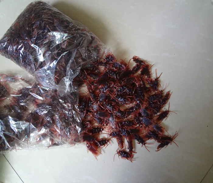 toy cockroaches
