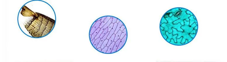 36020180603100137658