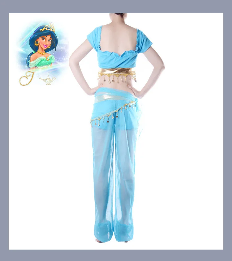 Princess Jasmine Costume for Women - Aladdin Fancy Dress for Halloween, Cosplay, Belly Dance, Indian Princess Party Outfit image 4