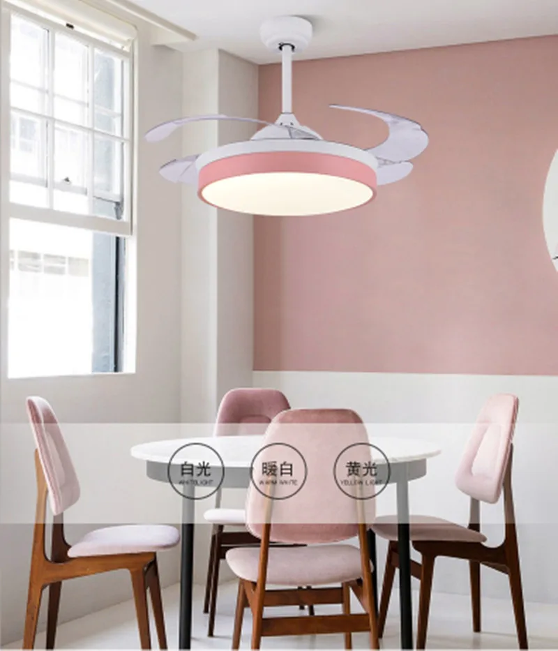 

24W LED Modern Ceiling Fan Lamps Acrylic Led Simple Lights Remote Control Ventilador 36Inch 220v
