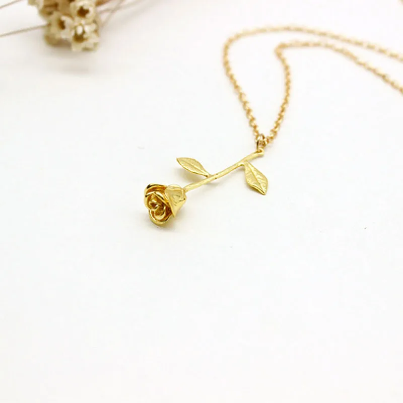 245083_no-logo_245083-2-01