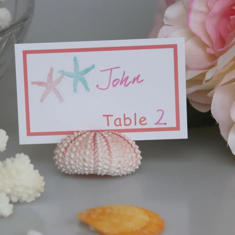 

Free Shipping Super Lovely Pink Sea Urchin Place Card Hold for Beach Wedding Natural Shell Conch Reception Table Chic Decor