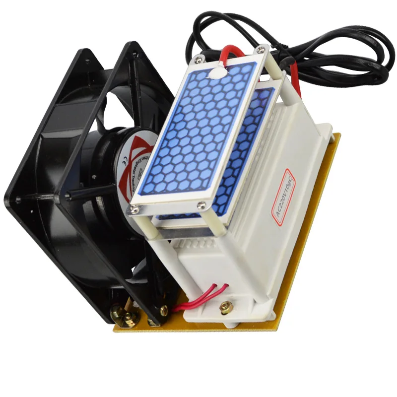  New Portable Ozone Machine 220v 10g Double Ceramic Plate Ozone Generator Ozone Sterilizer with Fan 