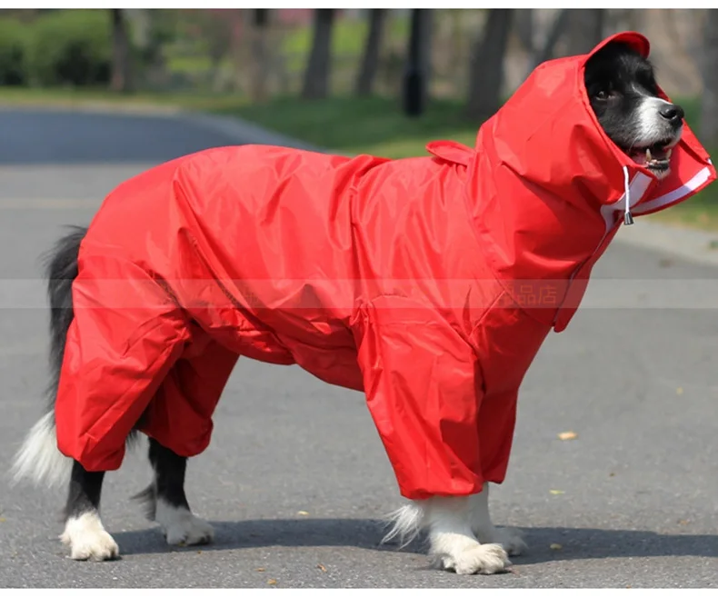 Grande cão roupas de capa de chuva