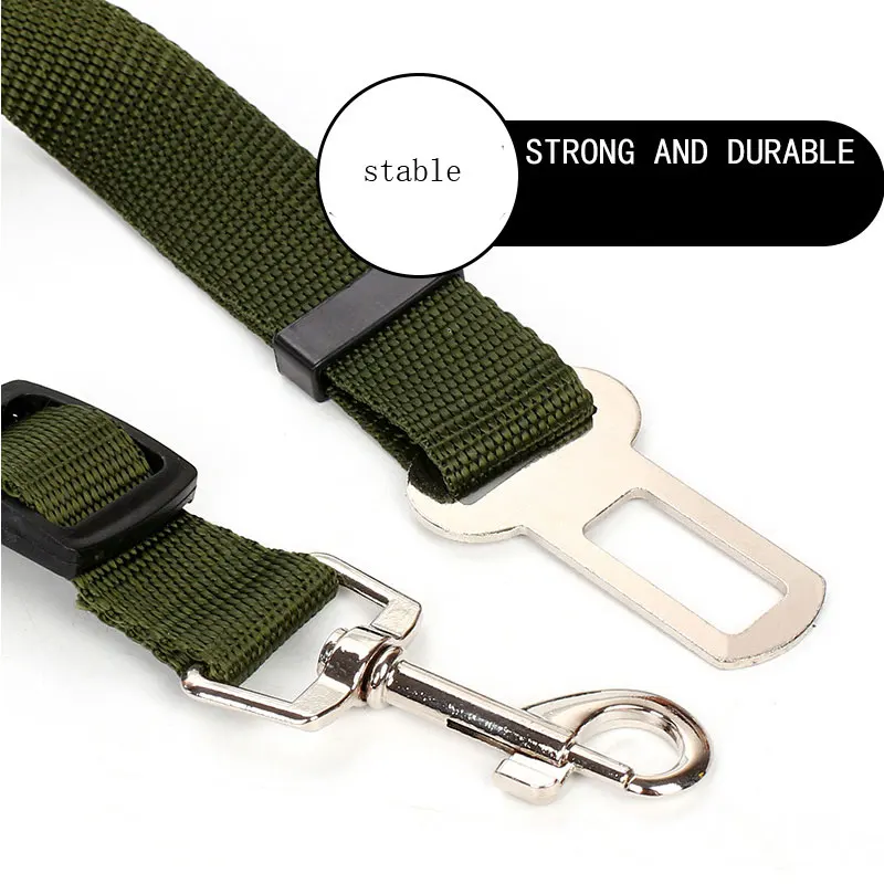 seat-belt3