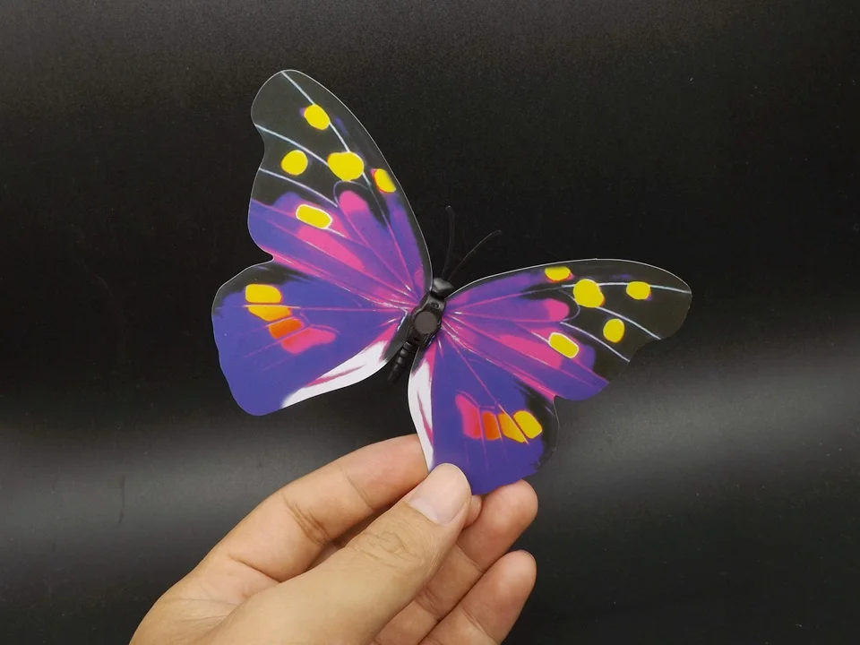 I193-Butterfly (4)