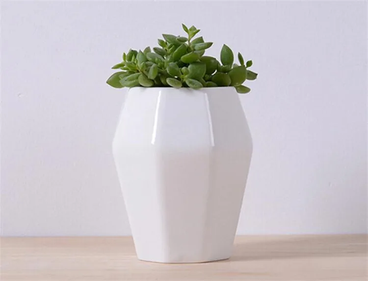 Buy Simple White Ceramic Octagon shape Flower Pot ,Table Small Succulents
