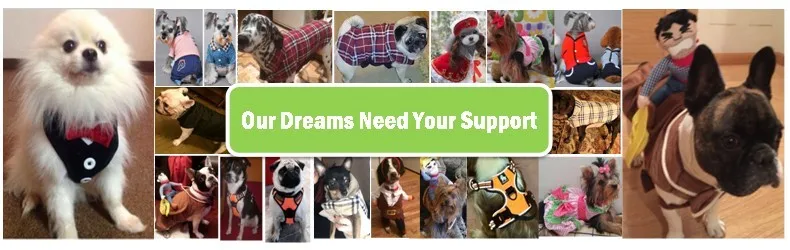 5707fb06a17a46ceb893bf325eceb302