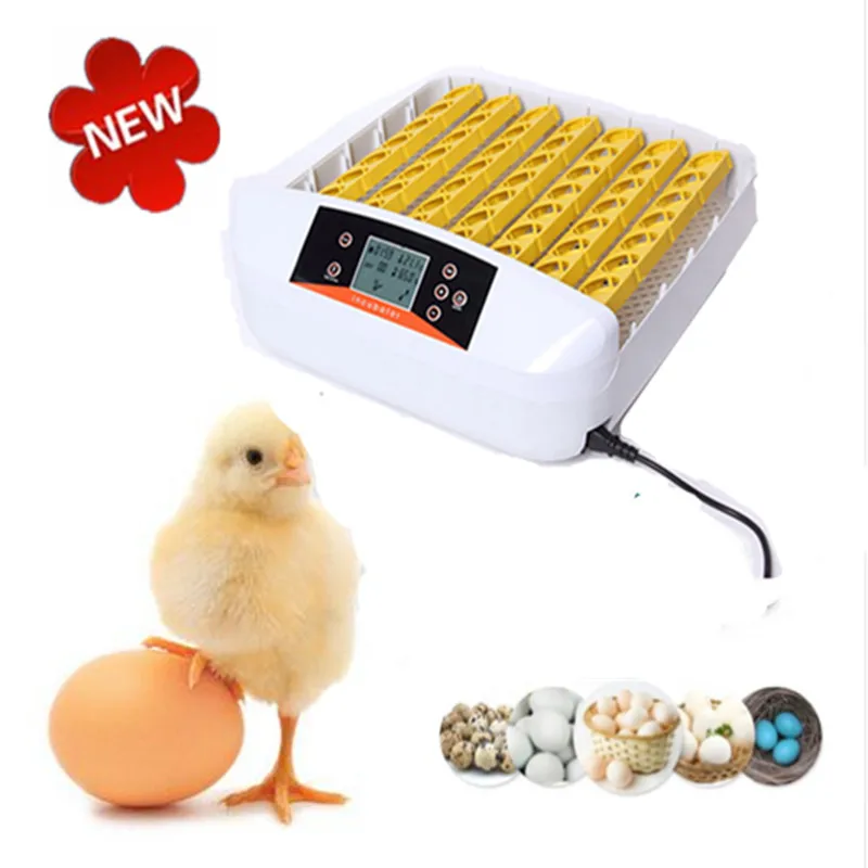 

Newest multifunctional eggs incubator with digital display hatching machine chicken brooder for sale
