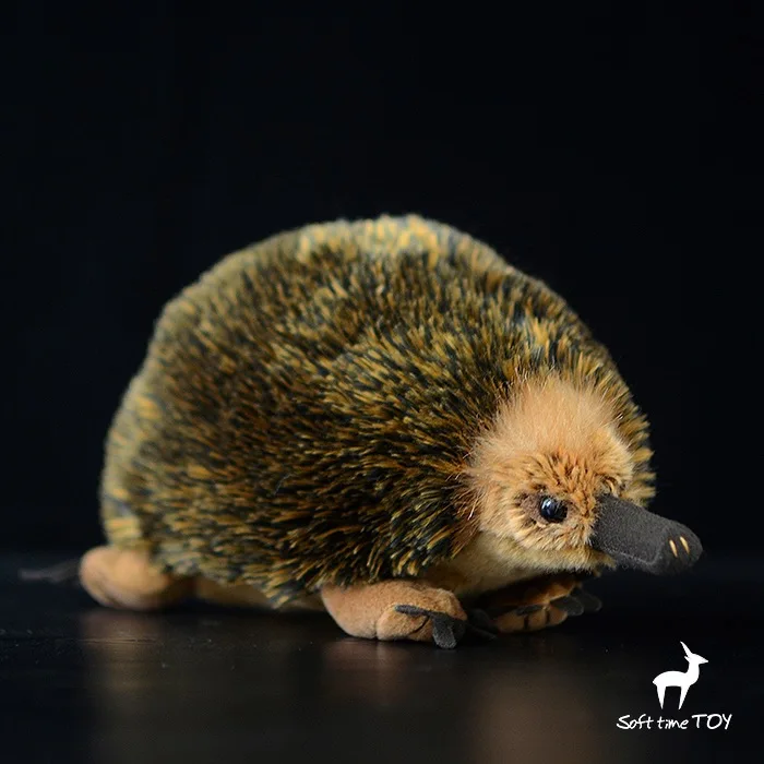 echidna stuffed animal
