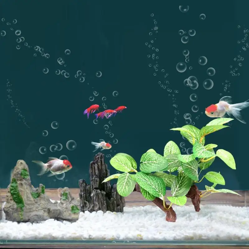 660 Contoh Landscape Aquarium HD