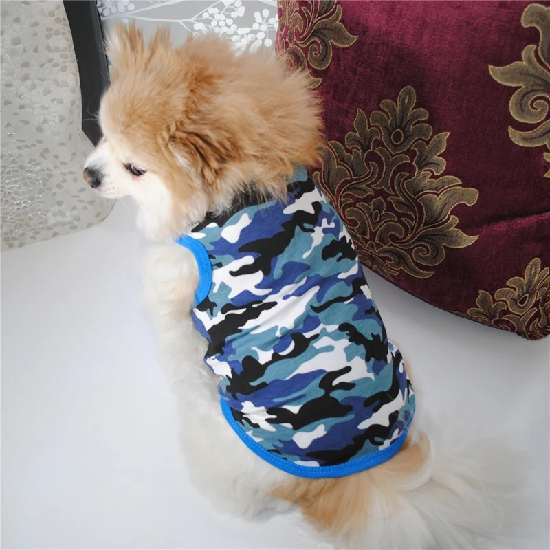 10614413229_361259826