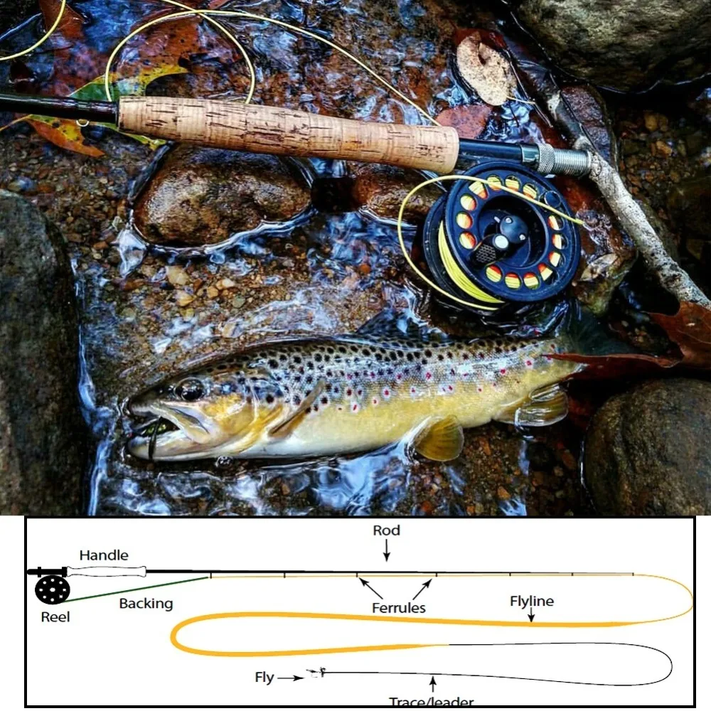 5beb92675cf0b129f07e3243-9-original